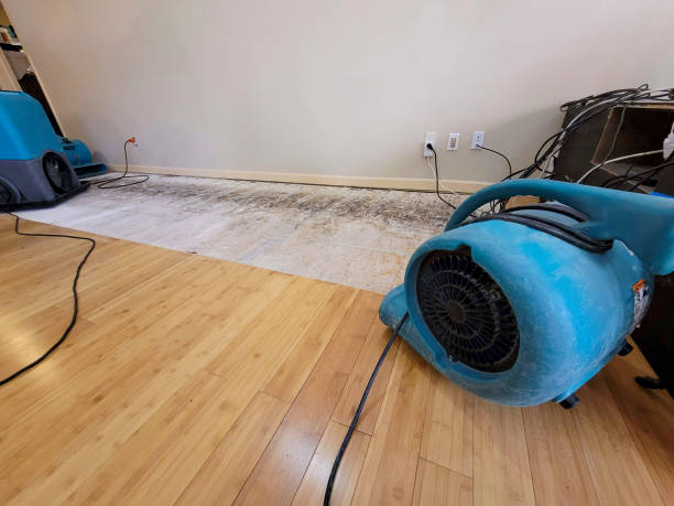 Reliable Basement Flood Cleanup contractor in Knightdale, NC by Hirex Water Damage