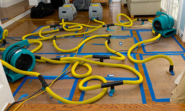 Professional Basement Flood Cleanup technician working in Knightdale, NC